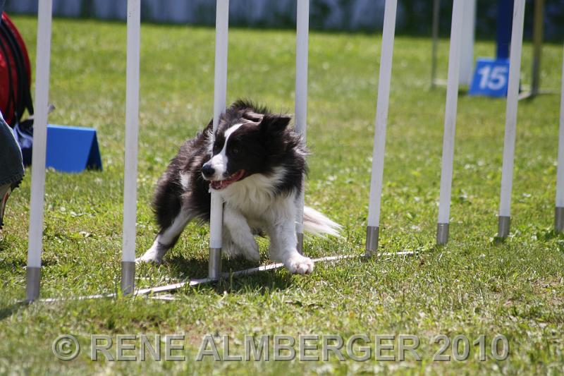 Bild 430.jpg